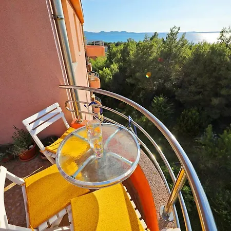 Lipa * Zadar