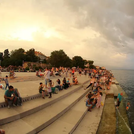 Lipa Zadar